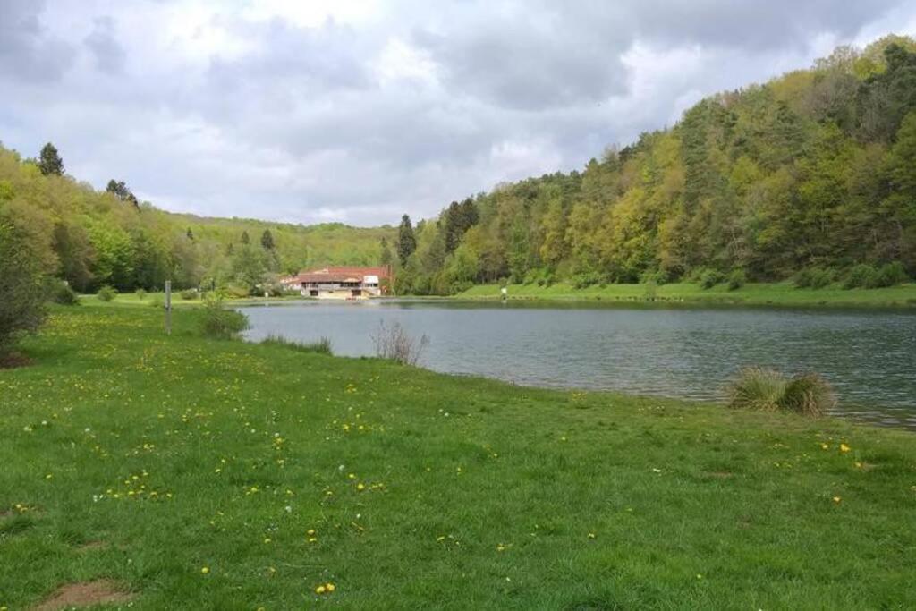 Le Repaire Des Herissons Vallee De Rabais Virton Exterior foto